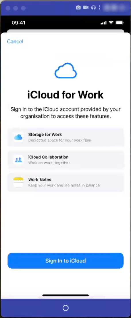 iOS device iCloud for Work page