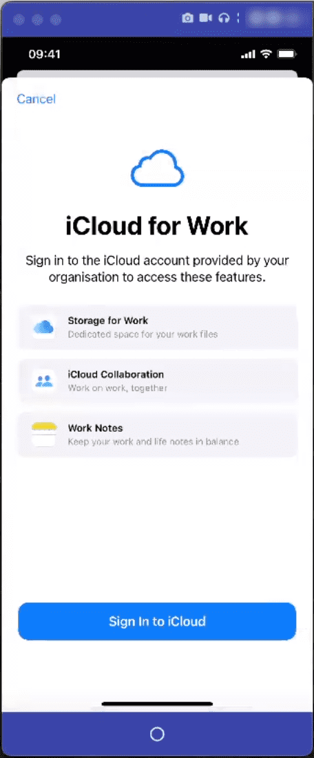 iOS device iCloud for Work page