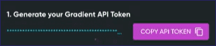 Copy API token