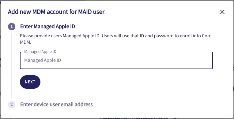 Enter Managed Apple ID