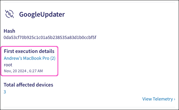 Viewing first execution details