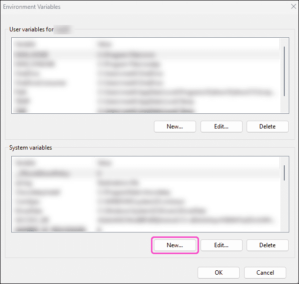 Environment Variables