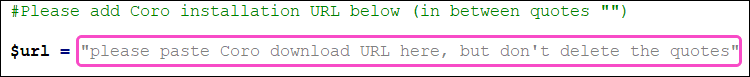 Standard deployment script variables