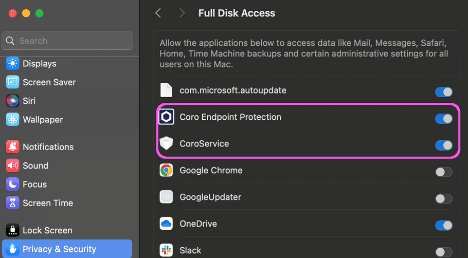 Enable full disk access