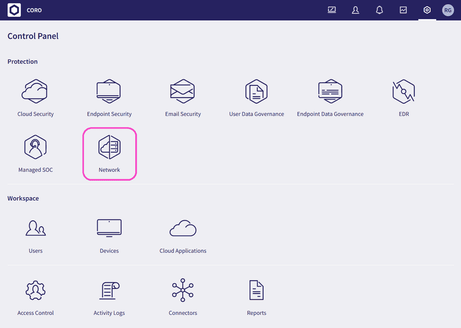 Control Panel Network icon